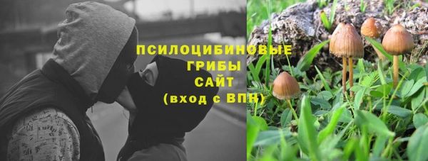 PSILOCYBIN Беломорск