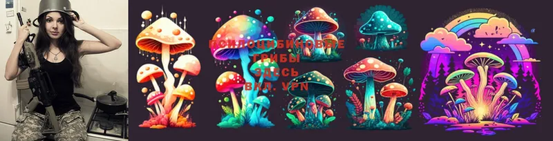 Галлюциногенные грибы Magic Shrooms  Владивосток 