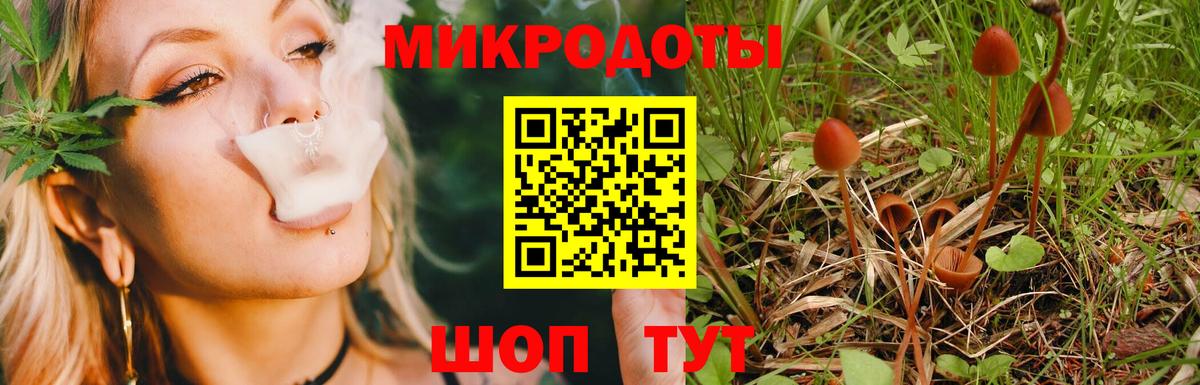 Псилоцибиновые грибы MAGIC MUSHROOMS  Галлюциногенные грибы Psilocybine cubensis  Владивосток  Вход с VPN 